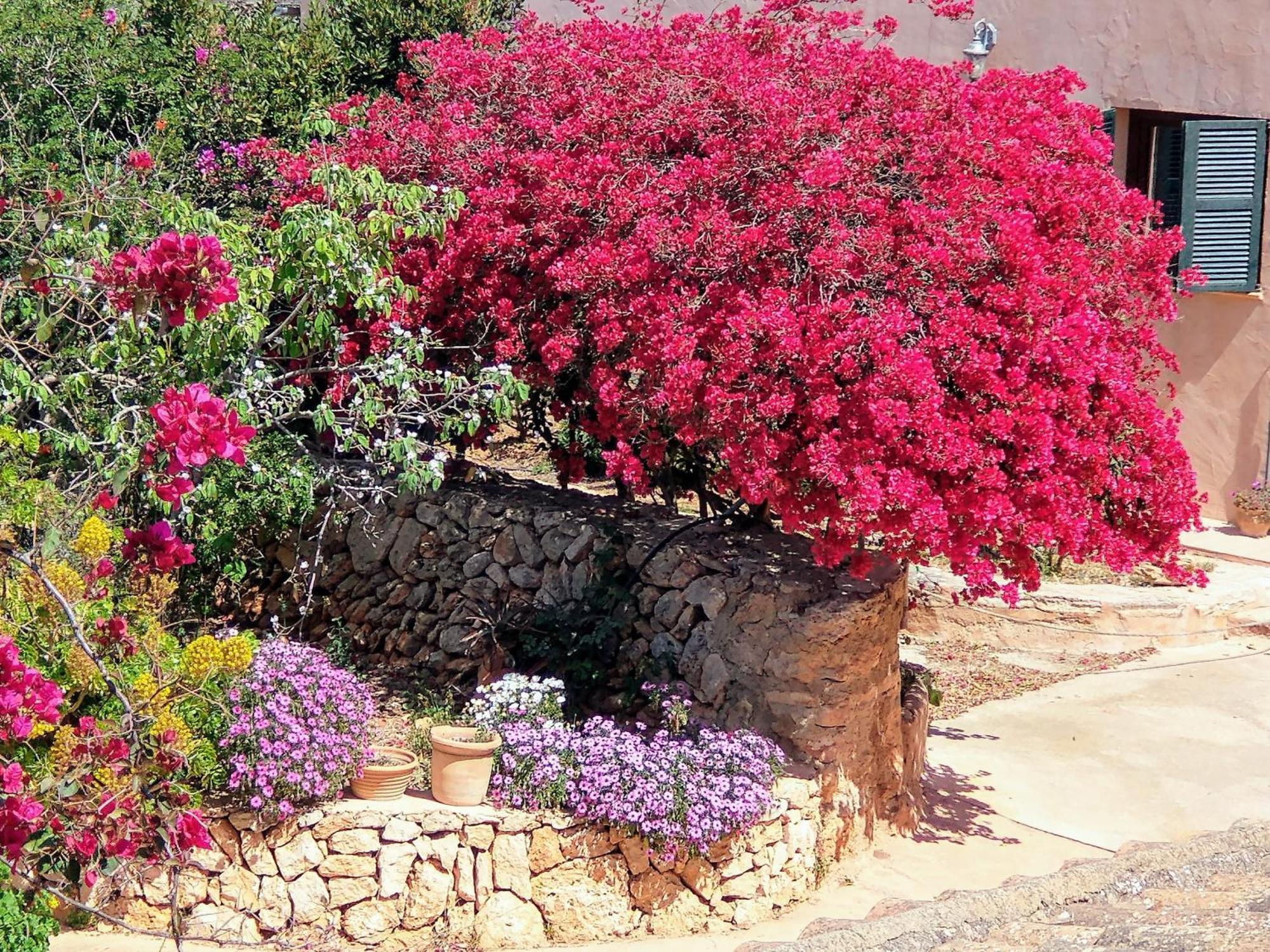 Finca Son Marimon (Adults Only) Santanyi Bagian luar foto