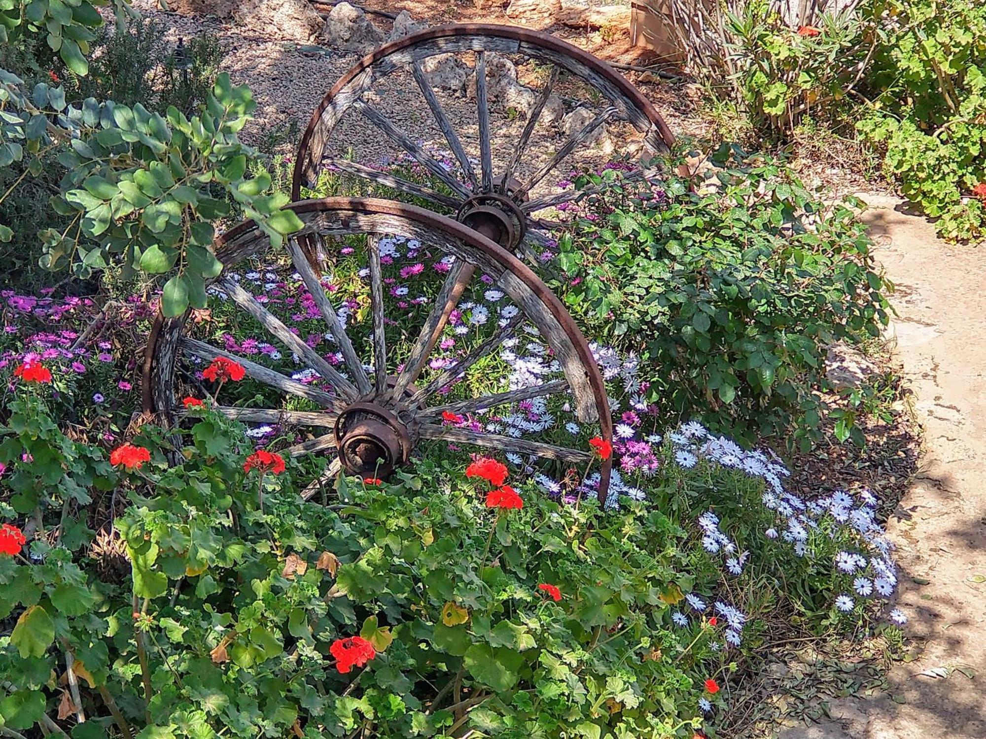 Finca Son Marimon (Adults Only) Santanyi Bagian luar foto