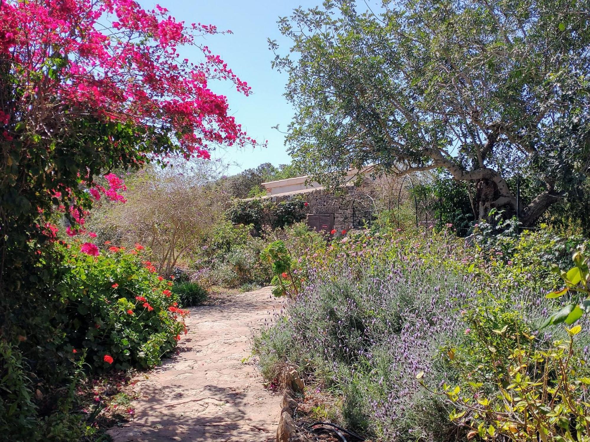 Finca Son Marimon (Adults Only) Santanyi Bagian luar foto