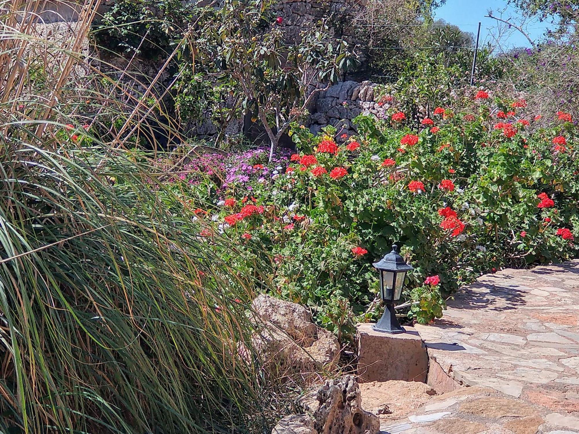 Finca Son Marimon (Adults Only) Santanyi Bagian luar foto