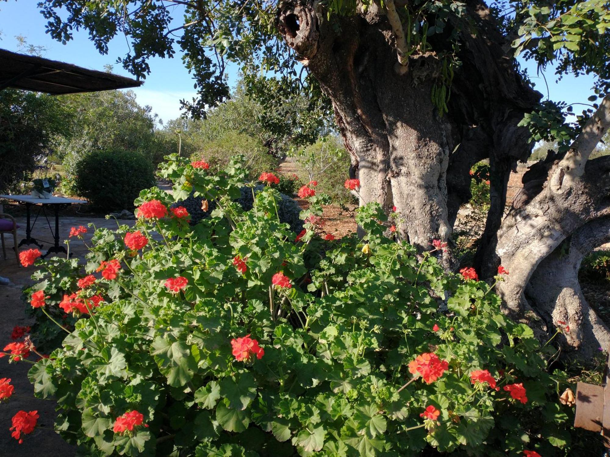 Finca Son Marimon (Adults Only) Santanyi Bagian luar foto