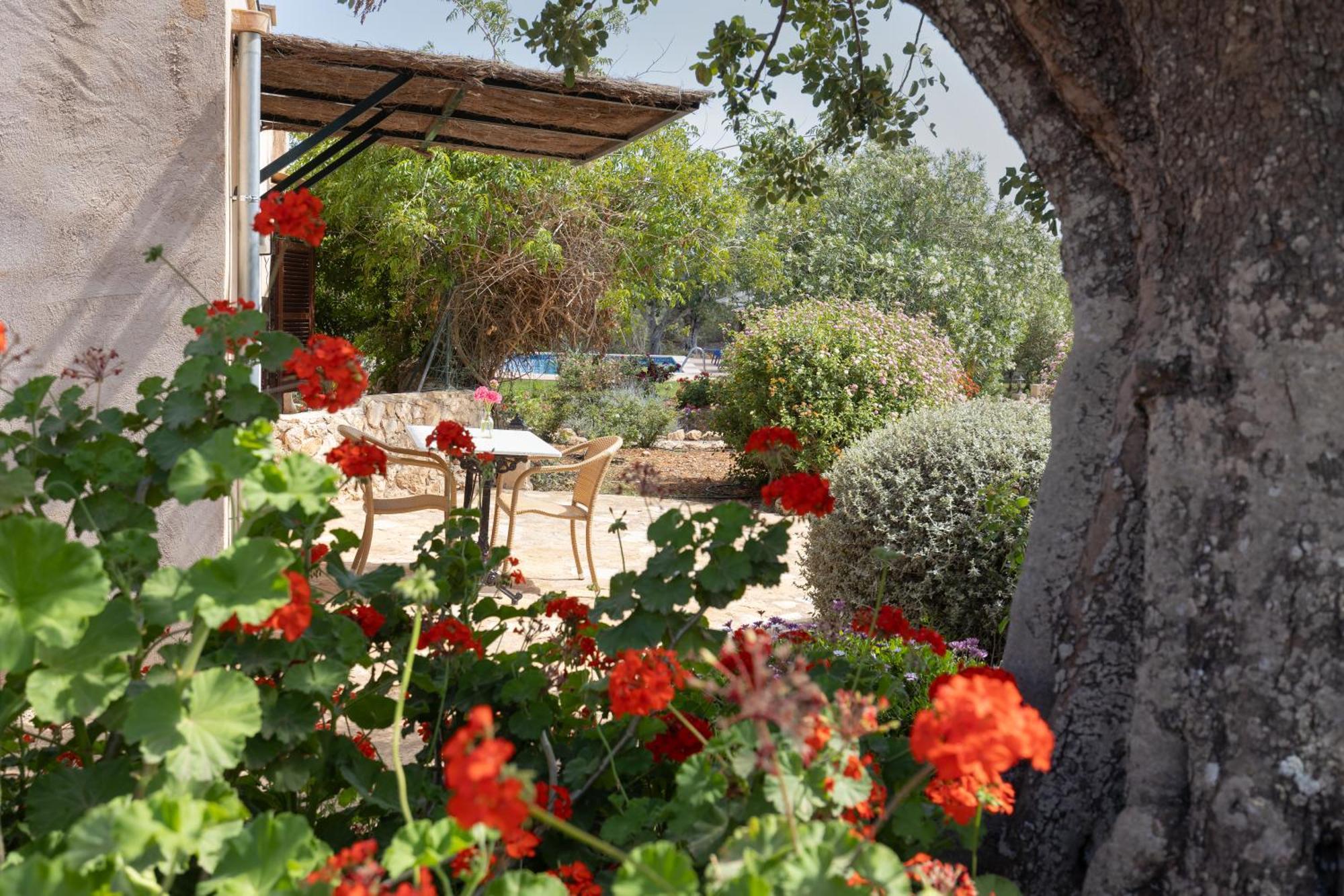 Finca Son Marimon (Adults Only) Santanyi Bagian luar foto
